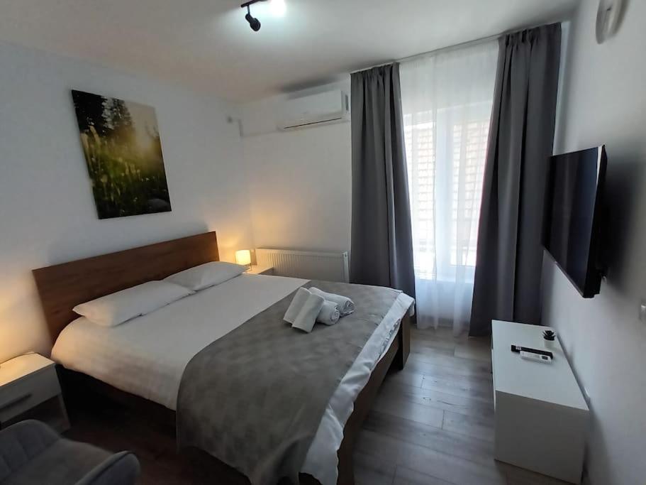 Old Town Studio 2 Apartment Nr 4 Baia Mare Dış mekan fotoğraf