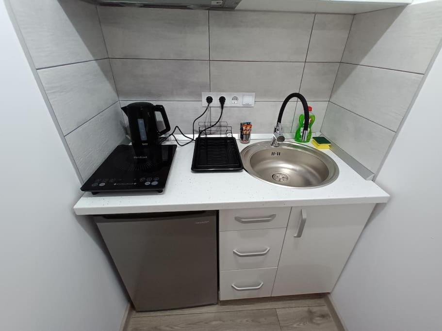 Old Town Studio 2 Apartment Nr 4 Baia Mare Dış mekan fotoğraf