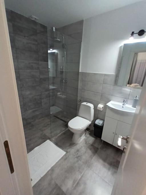 Old Town Studio 2 Apartment Nr 4 Baia Mare Dış mekan fotoğraf
