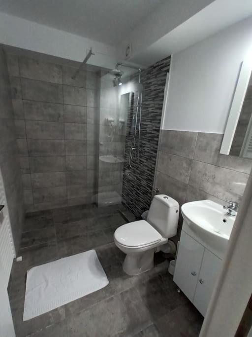 Old Town Studio 2 Apartment Nr 4 Baia Mare Dış mekan fotoğraf