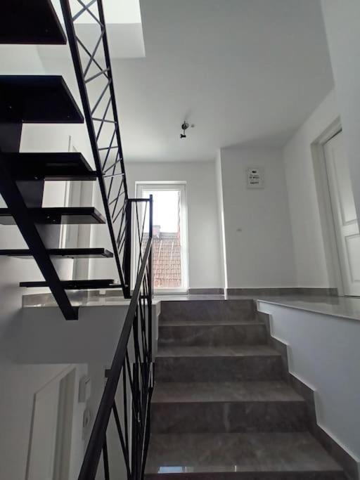Old Town Studio 2 Apartment Nr 4 Baia Mare Dış mekan fotoğraf