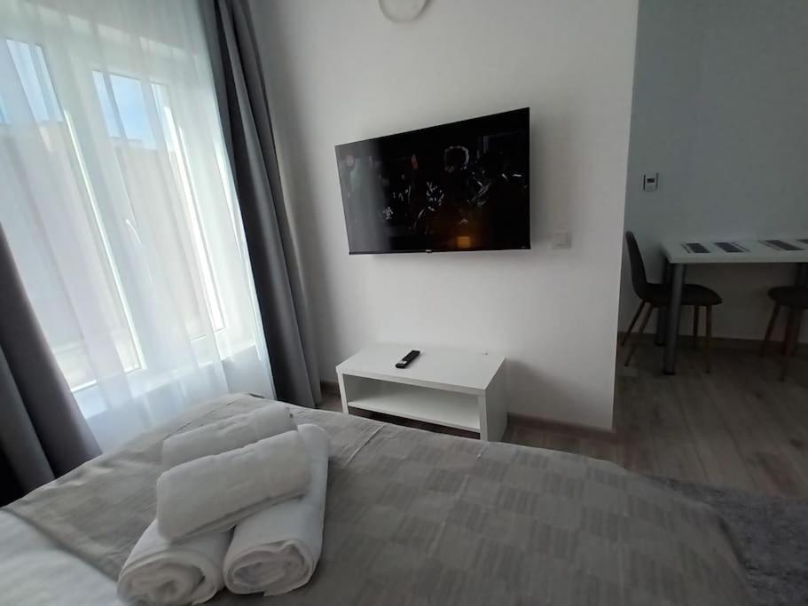 Old Town Studio 2 Apartment Nr 4 Baia Mare Dış mekan fotoğraf