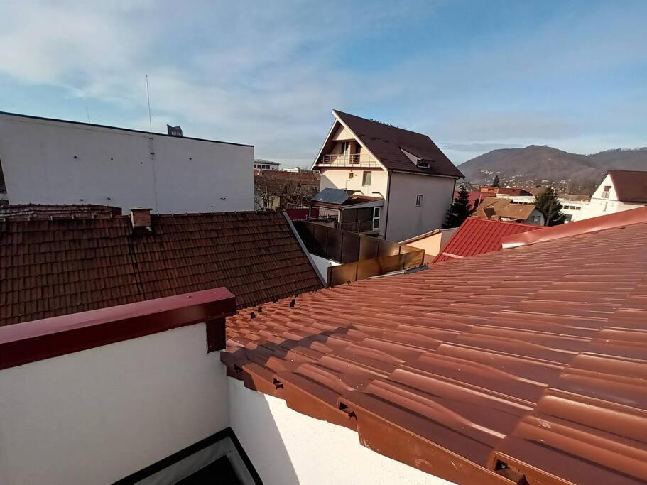 Old Town Studio 2 Apartment Nr 4 Baia Mare Dış mekan fotoğraf