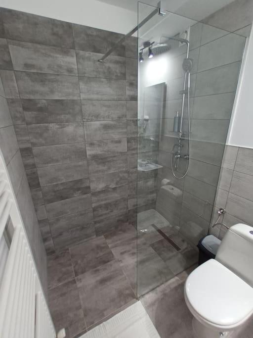 Old Town Studio 2 Apartment Nr 4 Baia Mare Dış mekan fotoğraf