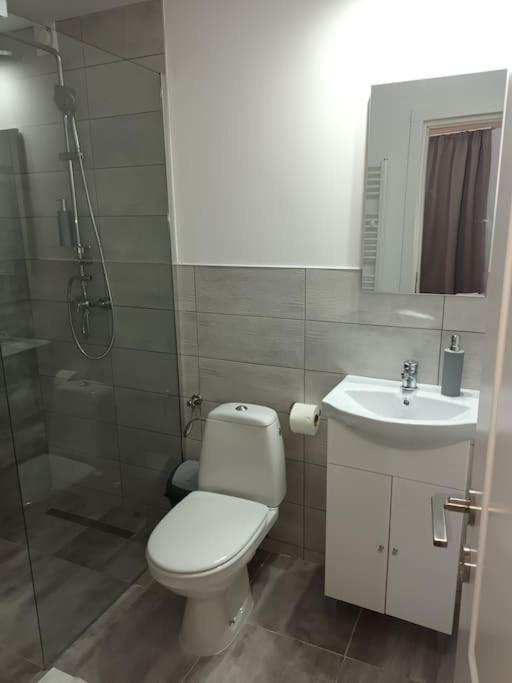 Old Town Studio 2 Apartment Nr 4 Baia Mare Dış mekan fotoğraf