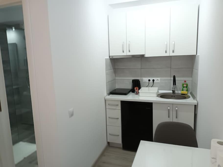 Old Town Studio 2 Apartment Nr 4 Baia Mare Dış mekan fotoğraf